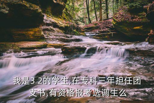 我是3 2的學(xué)生,在?？迫険?dān)任團(tuán) 支書,有資格報(bào)考選調(diào)生么