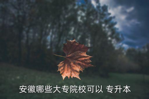  安徽哪些大專院?？梢?專升本