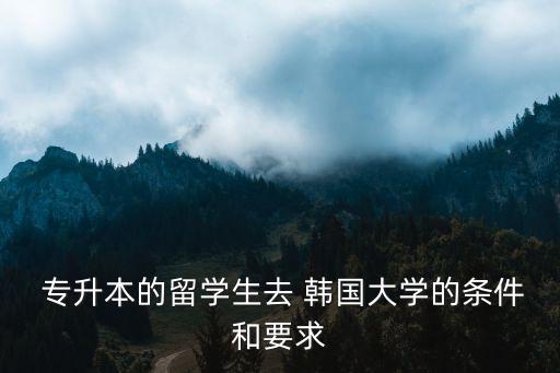  專升本的留學生去 韓國大學的條件和要求