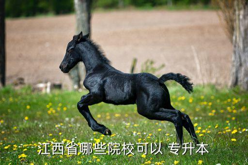 江西省哪些院校可以 專升本