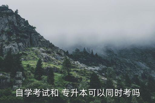 自學(xué)考試和 專升本可以同時考嗎
