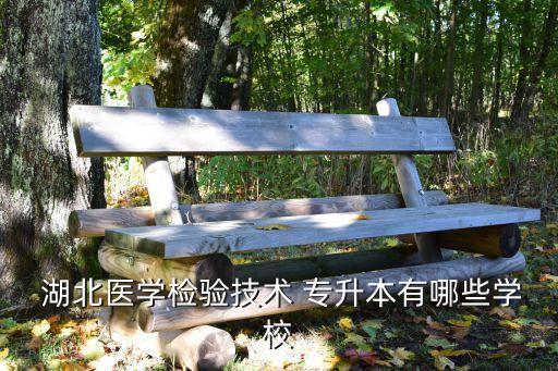  湖北醫(yī)學(xué)檢驗技術(shù) 專升本有哪些學(xué)校