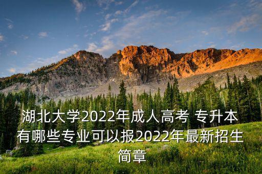 湖北大學(xué)2022年成人高考 專升本有哪些專業(yè)可以報(bào)2022年最新招生 簡(jiǎn)章