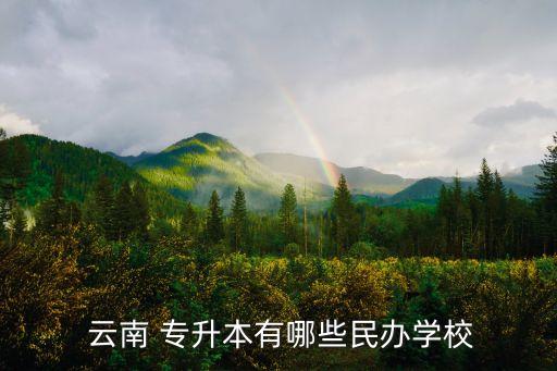 云南工商學院專升本2018年