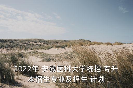 2022年 安徽醫(yī)科大學(xué)統(tǒng)招 專(zhuān)升本招生專(zhuān)業(yè)及招生 計(jì)劃