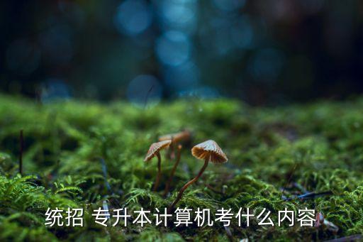統(tǒng)招 專升本計算機考什么內(nèi)容