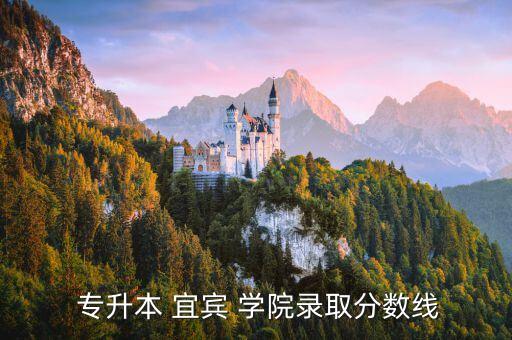  專升本 宜賓 學院錄取分數線