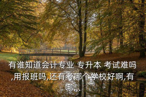 有誰知道會計專業(yè) 專升本 考試難嗎,用報班嗎,還有考哪個學(xué)校好啊,有哪...