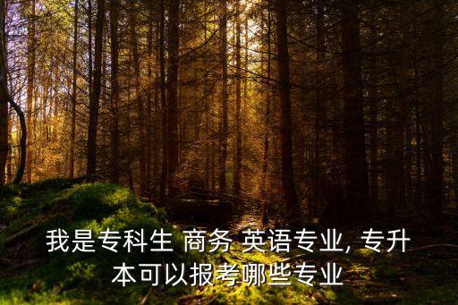 商務(wù)英語專升本有用嗎,河南商務(wù)英語專升本學校有哪些