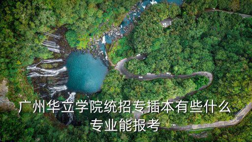 廣州華立學院統(tǒng)招專插本有些什么 專業(yè)能報考