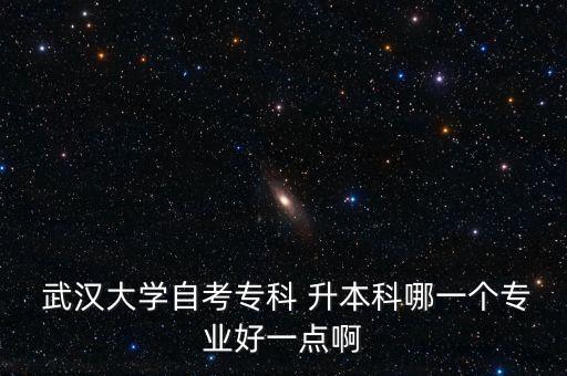  武漢大學(xué)自考專(zhuān)科 升本科哪一個(gè)專(zhuān)業(yè)好一點(diǎn)啊