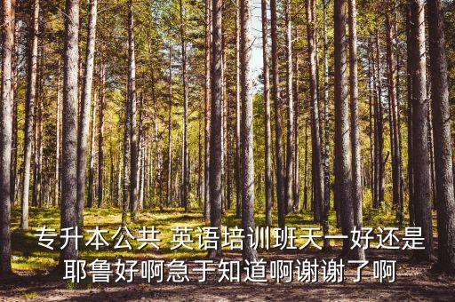 耶魯專(zhuān)升本的英語(yǔ)教材,2023耶魯專(zhuān)升本英語(yǔ)模擬題