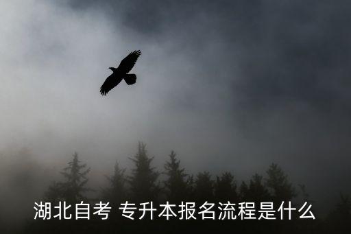 湖北自考 專升本報(bào)名流程是什么