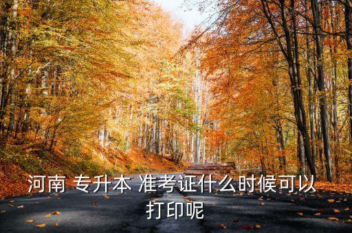專升本準考證打印多大