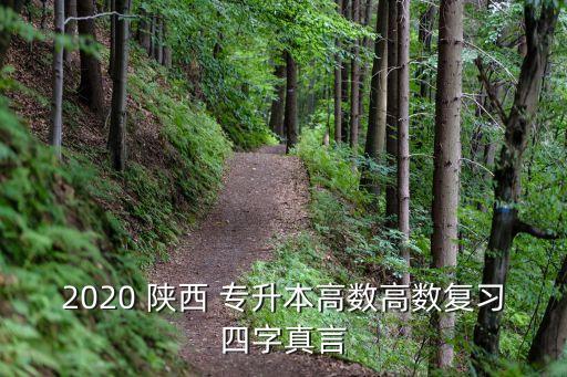 2020 陜西 專升本高數(shù)高數(shù)復習四字真言