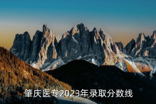  肇慶醫(yī)專2023年錄取分數(shù)線