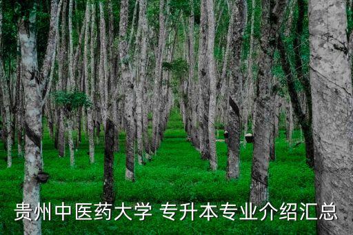 貴州中醫(yī)藥大學(xué) 專(zhuān)升本專(zhuān)業(yè)介紹匯總