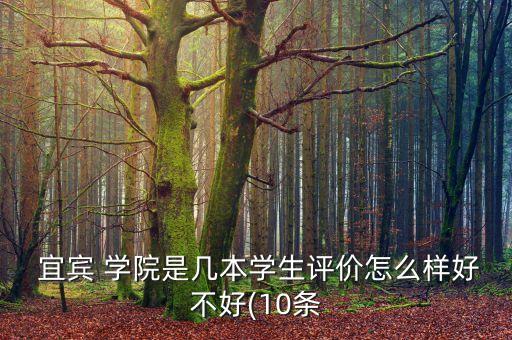  宜賓 學院是幾本學生評價怎么樣好不好(10條