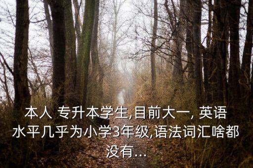 本人 專升本學(xué)生,目前大一, 英語(yǔ)水平幾乎為小學(xué)3年級(jí),語(yǔ)法詞匯啥都沒有...