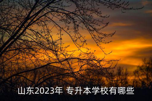 山東2023年 專升本學校有哪些