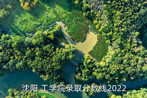  沈陽 工學(xué)院錄取分數(shù)線2022