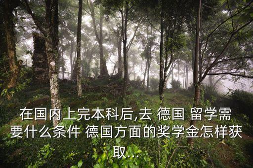 在國內上完本科后,去 德國 留學需要什么條件 德國方面的獎學金怎樣獲取...