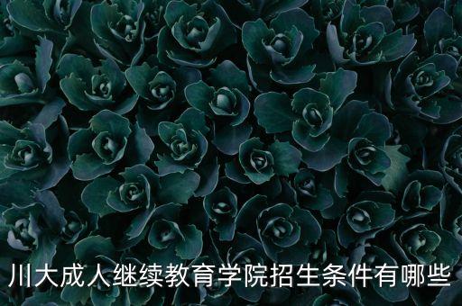 川大成人繼續(xù)教育學院招生條件有哪些