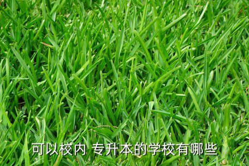 可以校內(nèi) 專(zhuān)升本的學(xué)校有哪些