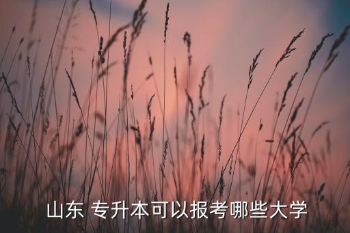  山東 專升本可以報考哪些大學(xué)