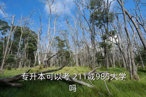專升本211的