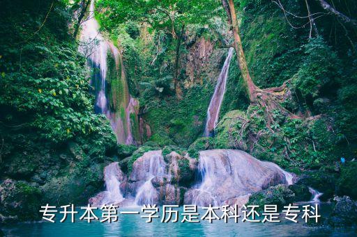  專升本第一學(xué)歷是本科還是?？? class=