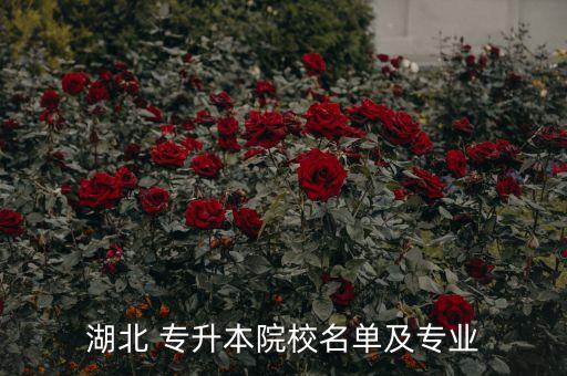 武漢機械設計專升本,機械設計制造及其自動化專升本學校