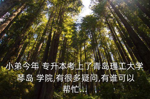 小弟今年 專升本考上了青島理工大學(xué) 琴島 學(xué)院,有很多疑問(wèn),有誰(shuí)可以幫忙...