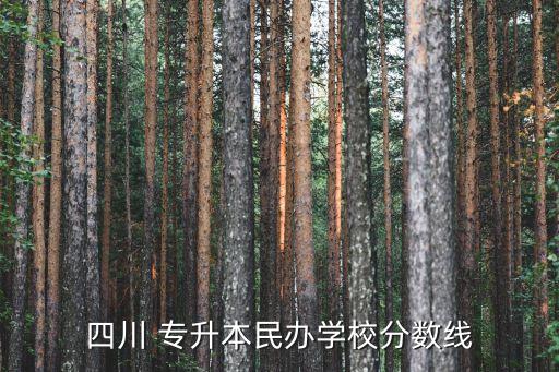 四川 專升本民辦學校分數(shù)線