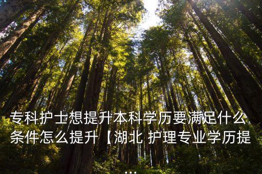 專(zhuān)科護(hù)士想提升本科學(xué)歷要滿(mǎn)足什么 條件怎么提升【湖北 護(hù)理專(zhuān)業(yè)學(xué)歷提...