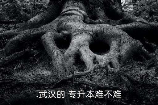 .武漢的 專(zhuān)升本難不難
