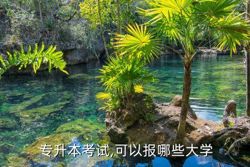  專升本考試,可以報哪些大學(xué)