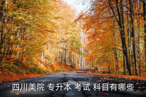 專升本國畫考試科目,湖南師范大學國畫研究生考試科目