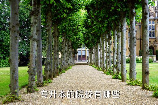 心理學(xué)專升本學(xué)校排名,安徽專升本心理學(xué)專業(yè)有什么學(xué)校