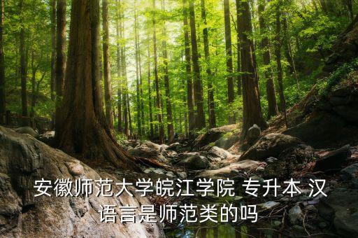  安徽師范大學(xué)皖江學(xué)院 專升本 漢語(yǔ)言是師范類的嗎