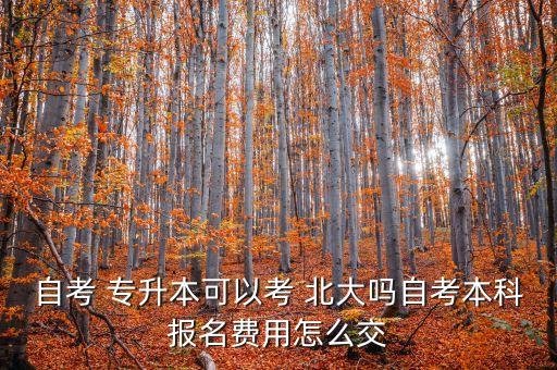 自考 專(zhuān)升本可以考 北大嗎自考本科報(bào)名費(fèi)用怎么交