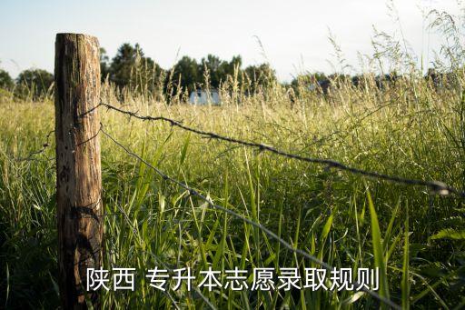 陜西 專(zhuān)升本志愿錄取規(guī)則
