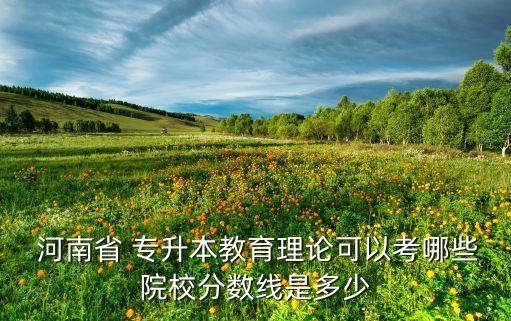  河南省 專(zhuān)升本教育理論可以考哪些院校分?jǐn)?shù)線是多少