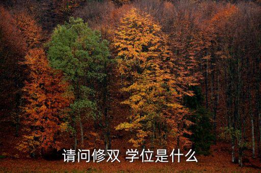 請問修雙 學(xué)位是什么