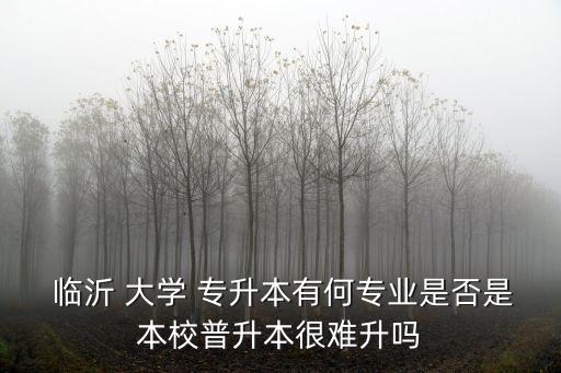 臨沂大學(xué)專升本2019年
