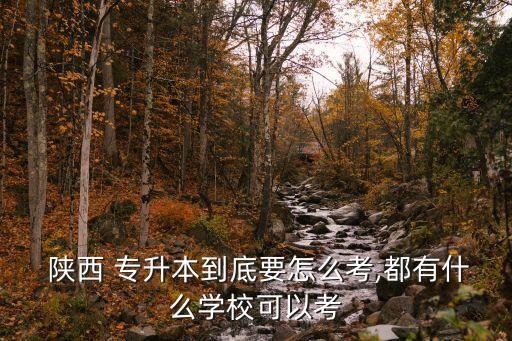  陜西 專升本到底要怎么考,都有什么學(xué)?？梢钥? class=