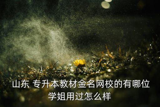  山東 專升本教材金名網(wǎng)校的有哪位學姐用過怎么樣