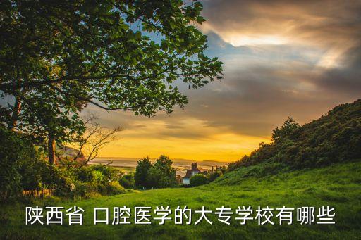 陜西省 口腔醫(yī)學的大專學校有哪些