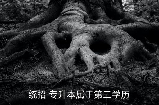 統(tǒng)招 專(zhuān)升本屬于第二學(xué)歷
