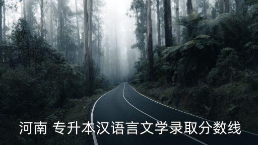  河南 專升本漢語言文學(xué)錄取分?jǐn)?shù)線